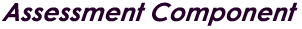 Assessment Component